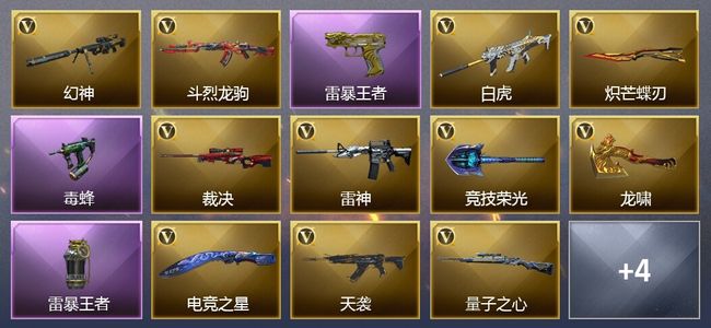 穿越火线（CF）2王者武器 16V武器 4V角色 1皮肤 可排位