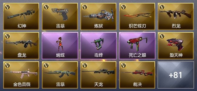 穿越火线（CF）19王者武器 9炫金武器 166V武器 27V角色 24皮肤 可排位