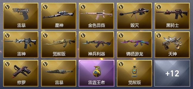 穿越火线（CF）6王者武器 21V武器 20V角色 9皮肤 可排位