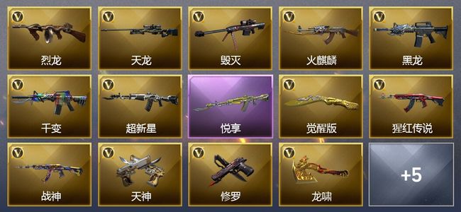 穿越火线（CF）2王者武器 21V武器 10V角色 10皮肤 可排位
