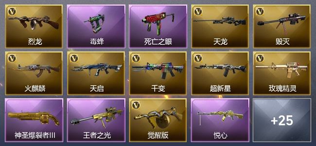 穿越火线（CF）0传说角色 0传说武器 5王者武器 1炫金武器 77V武器 13V角色 4皮肤 可排位 无