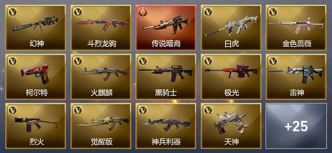 穿越火线（CF）0传说角色 1传说武器 13王者武器 0炫金武器 30V武器 29V角色 12皮肤 可排位 枪王