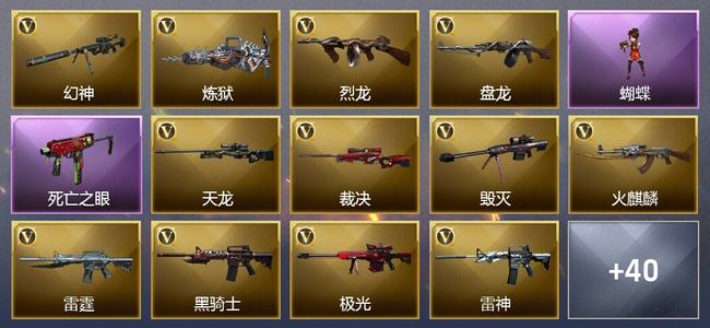 穿越火线（CF）0传说角色 0传说武器 11王者武器 7炫金武器 96V武器 12V角色 9皮肤 可排位 新锐