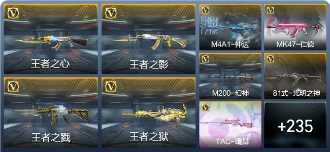 穿越火线：枪战王者V8 11王者武器 244英雄武器 11英雄角色 391万化 枪皇S