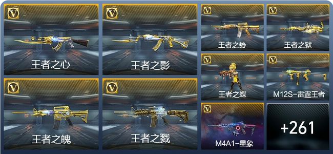 穿越火线：枪战王者V8 24王者武器 270英雄武器 12英雄角色 533万化 专家S