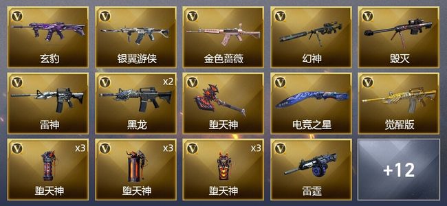 穿越火线（CF）3王者武器 27V武器 9皮肤 可排位 传奇