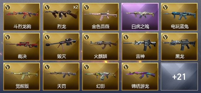 穿越火线（CF）2王者武器 30V武器 1V角色 12皮肤 不可排位 传奇