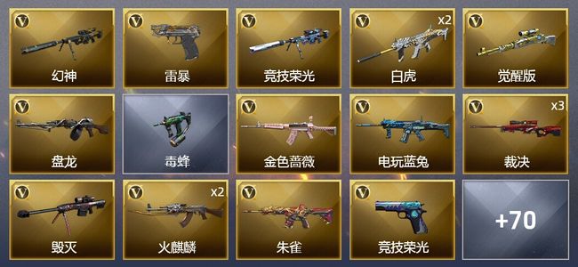 穿越火线（CF）1王者武器 1炫金武器 83V武器 5V角色 19皮肤 可排位 枪王