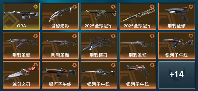 无畏契约13橙皮 1金皮 1紫皮 28皮肤 27830皮肤总价值 545已用源晶 白银