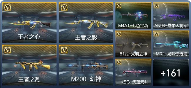 穿越火线：枪战王者V8 15王者武器 170英雄武器 5英雄角色 375万化 专家