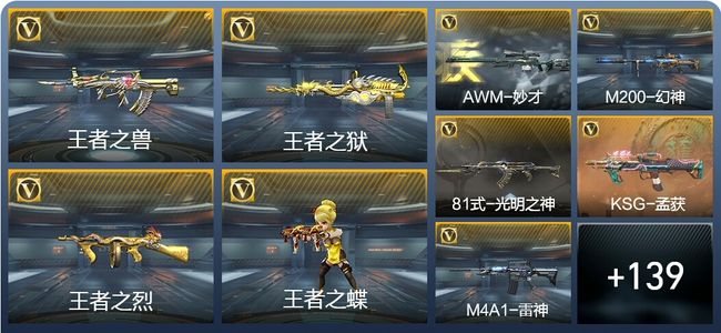 穿越火线：枪战王者V5 8王者武器 148英雄武器 8英雄角色 207万化 大师