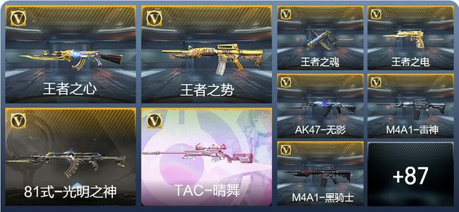 穿越火线：枪战王者V5 9王者武器 96英雄武器 2英雄角色 150万化 枪神