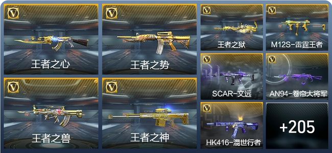 穿越火线：枪战王者V5 11王者武器 241英雄武器 5英雄角色 384万化 枪圣