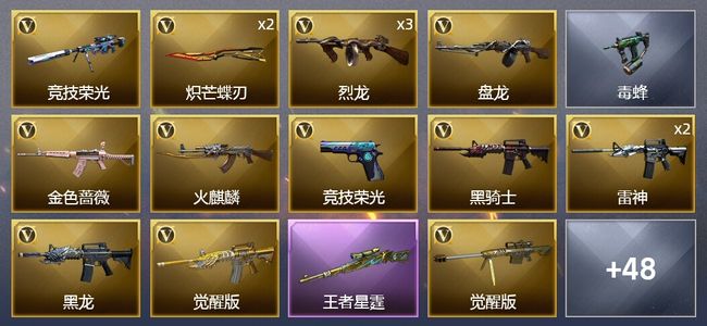 穿越火线（CF）1传说武器 1王者武器 56V武器 2V角色 16皮肤 可排位 新锐