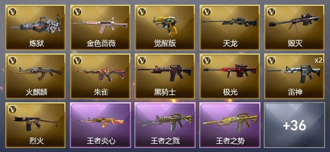 穿越火线（CF）5王者武器 1炫金武器 43V武器 1V角色 13皮肤 可排位 传奇