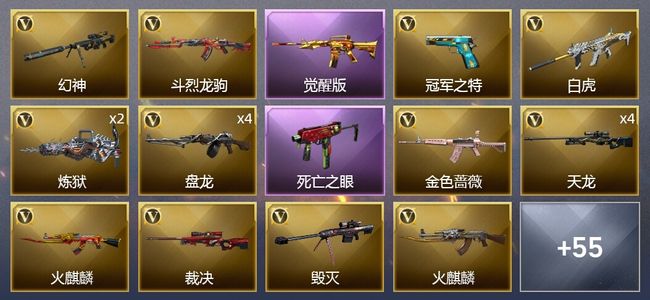 穿越火线（CF）6王者武器 3炫金武器 85V武器 2V角色 34皮肤 可排位 枪王