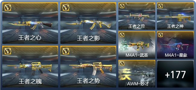 穿越火线：枪战王者V5 18王者武器 203英雄武器 6英雄角色 419万化 枪王SSS