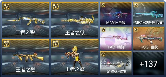 穿越火线：枪战王者6王者武器 147英雄武器 4英雄角色 323万化 专家S