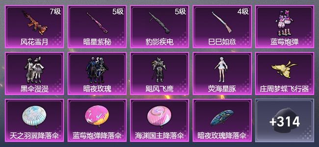 和平精英4升级枪 5粉装 1尾迹 174枪皮 157套装 57992热力 3印记 星钻