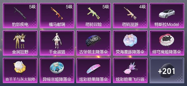 和平精英1载具 4升级枪 2粉装 1尾迹 110枪皮 117套装 3,4774热力 4印记 星钻