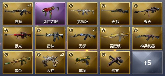 穿越火线（CF）24V武器 2V角色 5皮肤 可排位 新锐