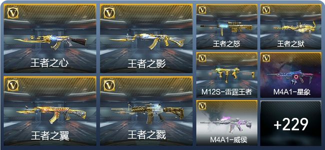 穿越火线：枪战王者V8 28王者武器 238英雄武器 8英雄角色 474万化 枪王