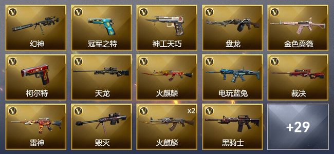 穿越火线（CF）2王者武器 49V武器 2V角色 18皮肤 可排位