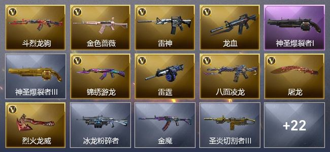 穿越火线（CF）9V武器 6皮肤 可排位 专家