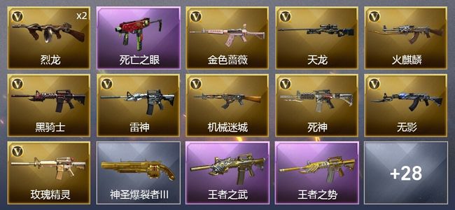 穿越火线（CF）5王者武器 23V武器 2V角色 5皮肤 可排位 新锐