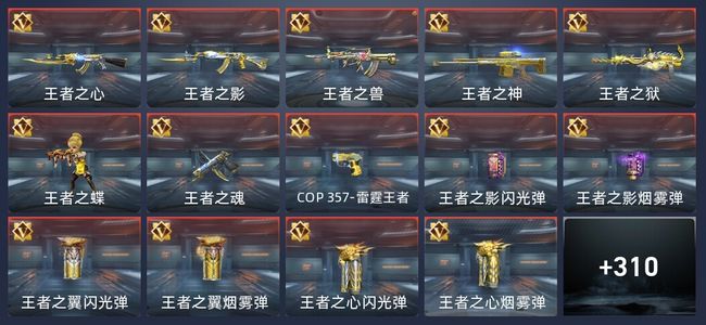 穿越火线：枪战王者31王者 313英雄武器 11英雄角色 664万化 枪皇S