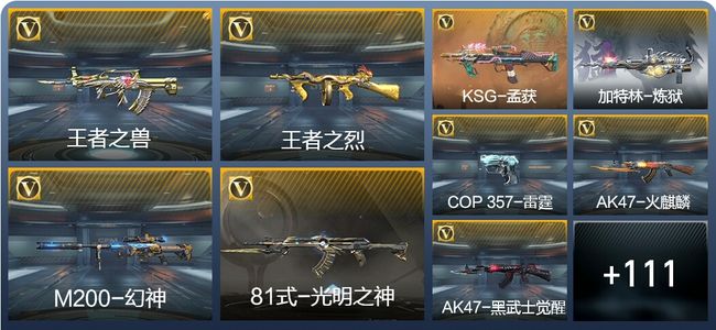 穿越火线：枪战王者V5 5王者武器 133英雄武器 6英雄角色 182万化 枪王