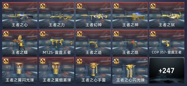 穿越火线：枪战王者V8 22王者 319英雄武器 10英雄角色 672万化 枪王SSS