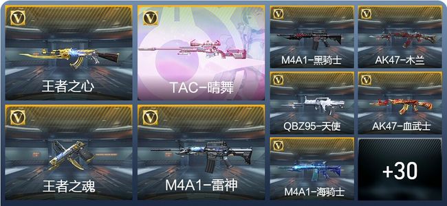 穿越火线：枪战王者2王者武器 39英雄武器 48万化 精英