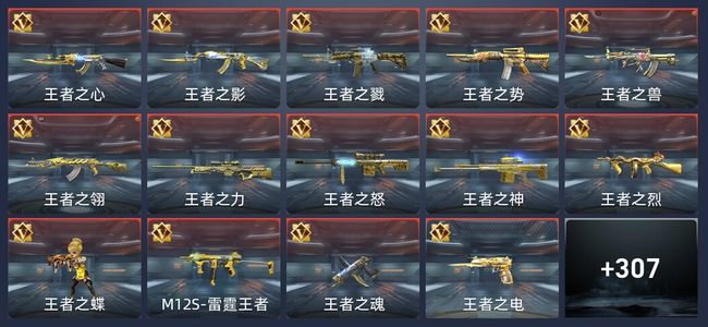 穿越火线：枪战王者V9 42王者 347英雄武器 12英雄角色 654万化 专家S