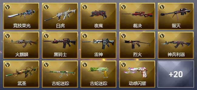 穿越火线（CF）34V武器 1V角色 10皮肤 可排位 传奇