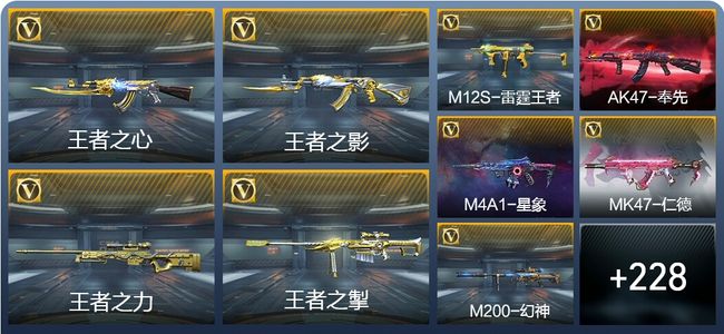 穿越火线：枪战王者V8 21王者武器 256英雄武器 5英雄角色 492万化 枪皇SSS