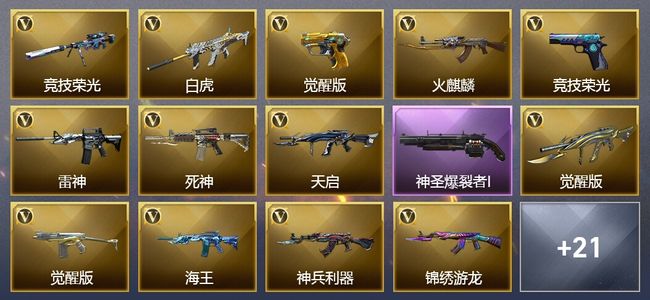 穿越火线（CF）28V武器 1V角色 6皮肤 可排位 专家