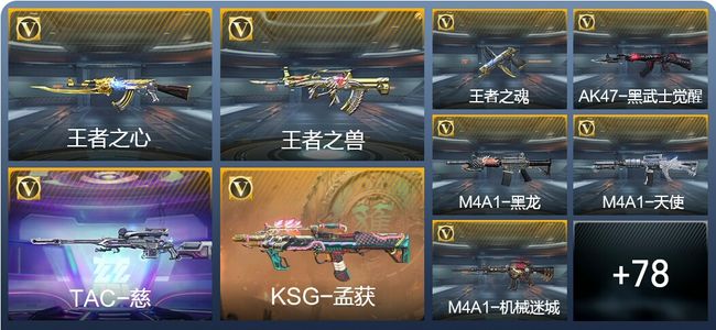 穿越火线：枪战王者5王者武器 87英雄武器 1英雄角色 98万化 精英