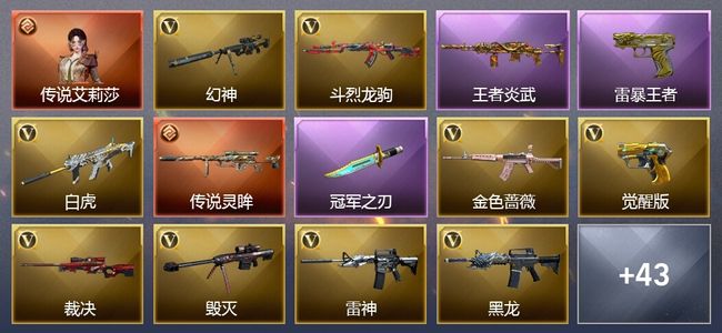 穿越火线（CF）1传说角色 1传说武器 10王者武器 53V武器 2V角色 19皮肤 可排位 枪王