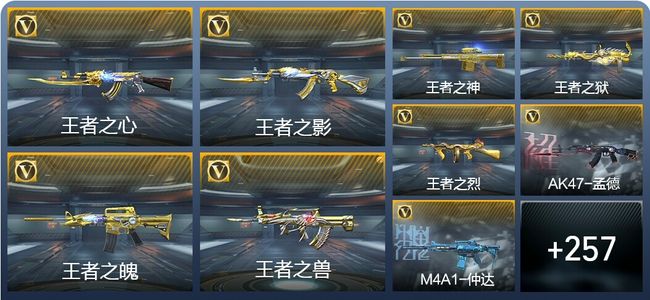 穿越火线：枪战王者21王者武器 266英雄武器 15英雄角色 666万化 枪皇S