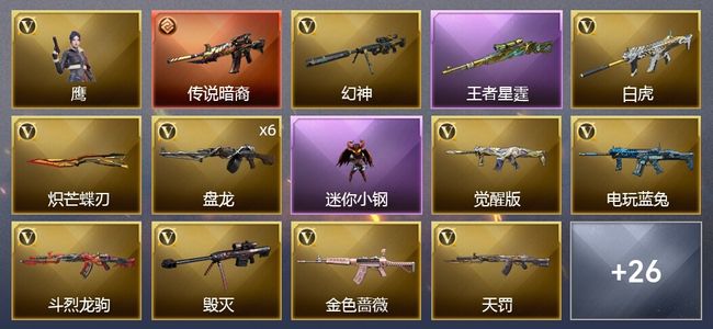 穿越火线（CF）1传说武器 1王者武器 35V武器 2V角色 11皮肤 不可排位 枪王