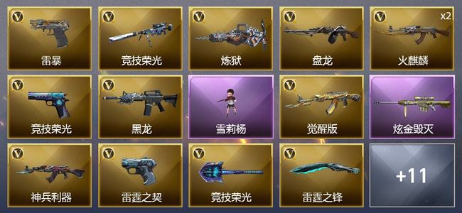 穿越火线（CF）1炫金武器 20V武器 2V角色 7皮肤 可排位 专家