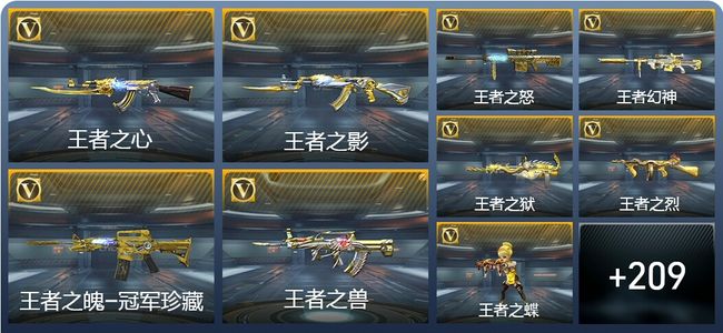 穿越火线：枪战王者V8 21王者武器 237英雄武器 6英雄角色 443万化 枪皇SSS