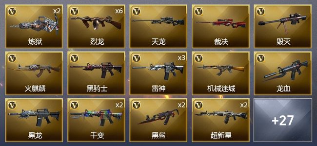 穿越火线（CF）1王者武器 1炫金武器 52V武器 1V角色 14皮肤 可排位 枪王