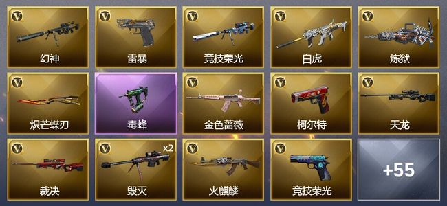穿越火线（CF）9王者武器 4炫金武器 67V武器 1V角色 28皮肤 可排位 传奇