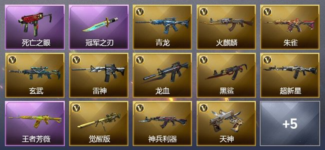 穿越火线（CF）2王者武器 17V武器 8皮肤 可排位 专家