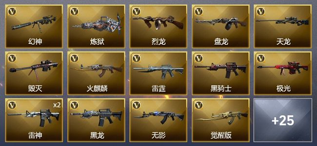 穿越火线（CF）6王者武器 1炫金武器 54V武器 4V角色 25皮肤 可排位