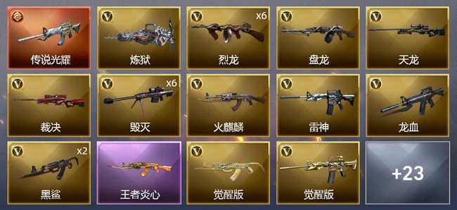 穿越火线（CF）1传说武器 8王者武器 1炫金武器 49V武器 1V角色 9皮肤 可排位 专家