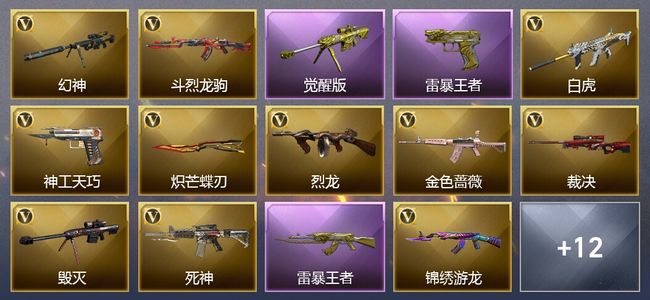 穿越火线（CF）14王者武器 31V武器 4皮肤 可排位