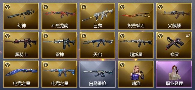 穿越火线（CF）14V武器 1V角色 4皮肤 可排位 枪王